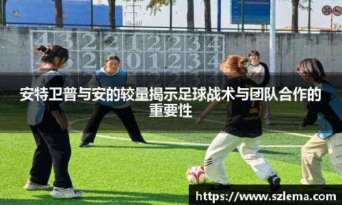 中国·BB贝博艾弗森