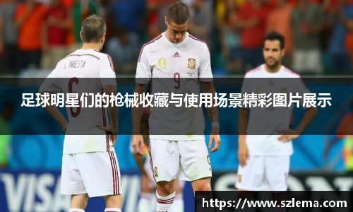 BB贝博艾弗森体育