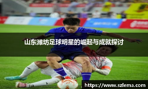 中国·BB贝博艾弗森